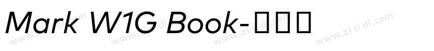 Mark W1G Book字体转换 Mark W1G Book字体转换